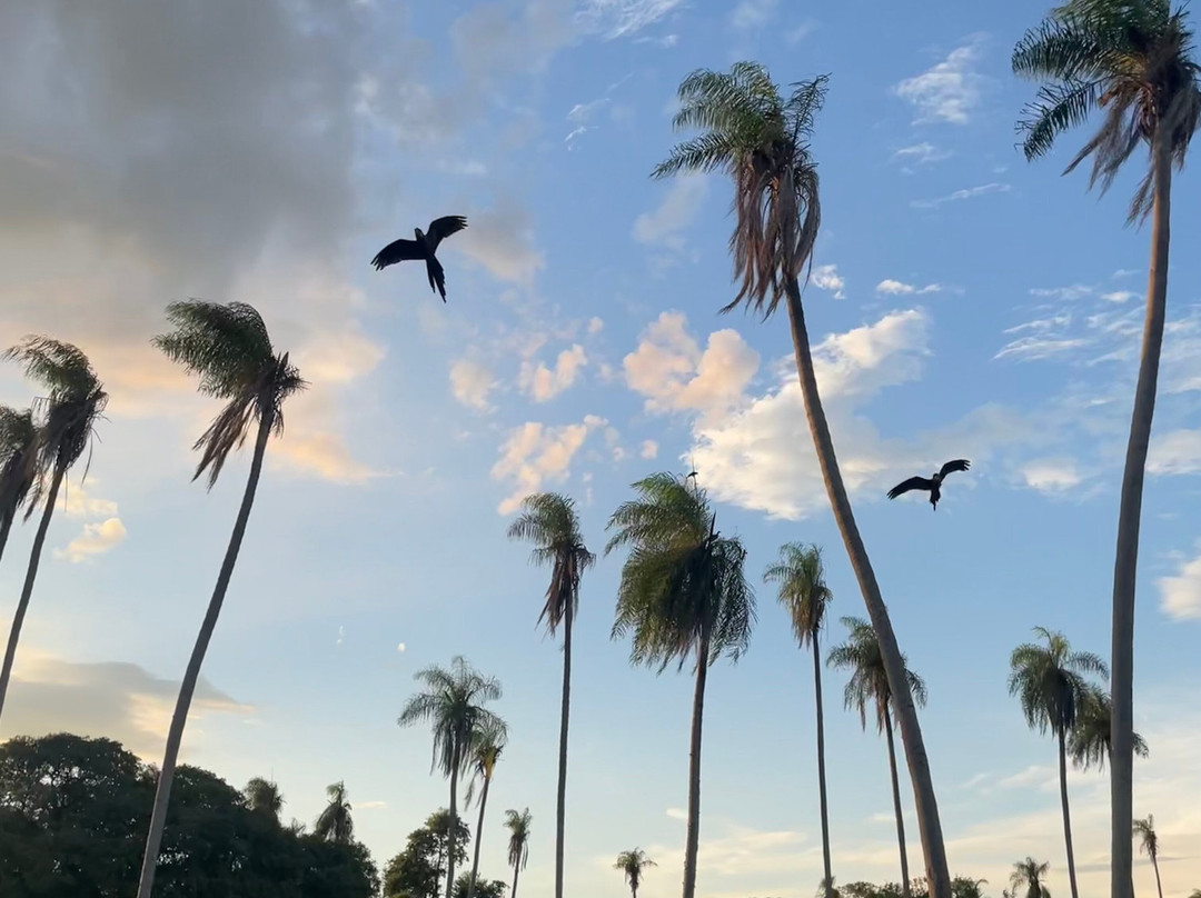 Buriti Viagens-Aquidauana必去景点