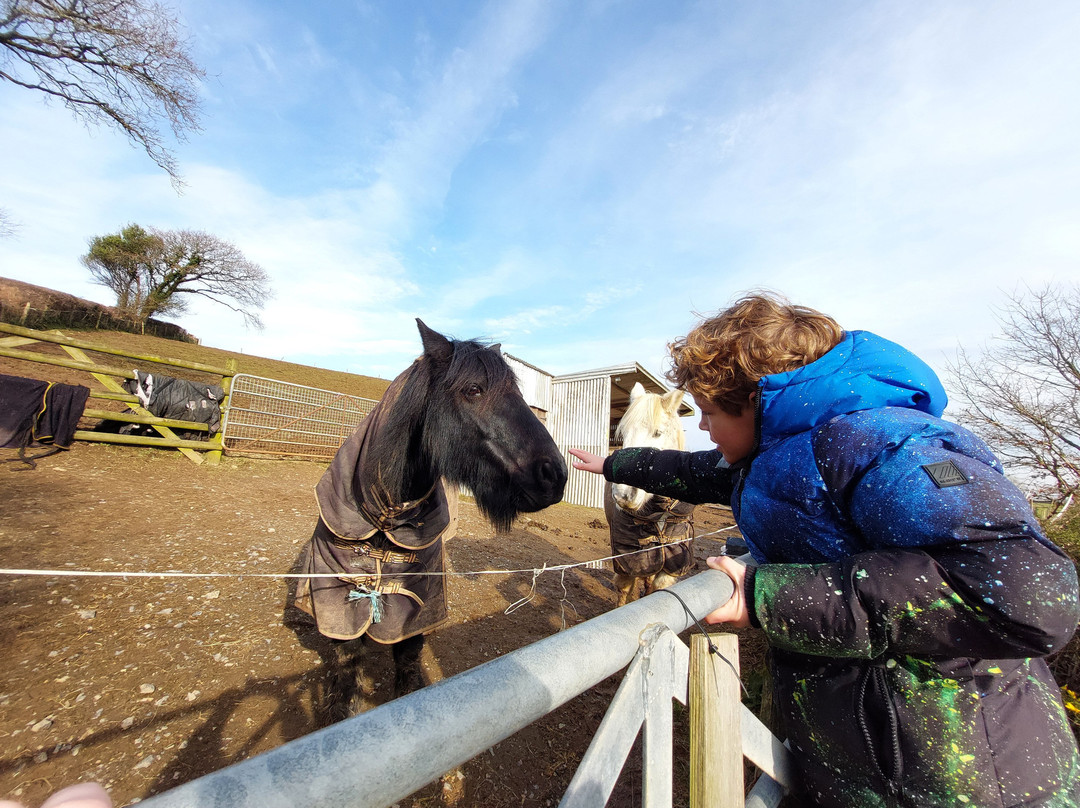 Higher Churchtown Farm主图