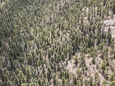 Yakalo Ranch-科罗拉多斯普林斯必去景点