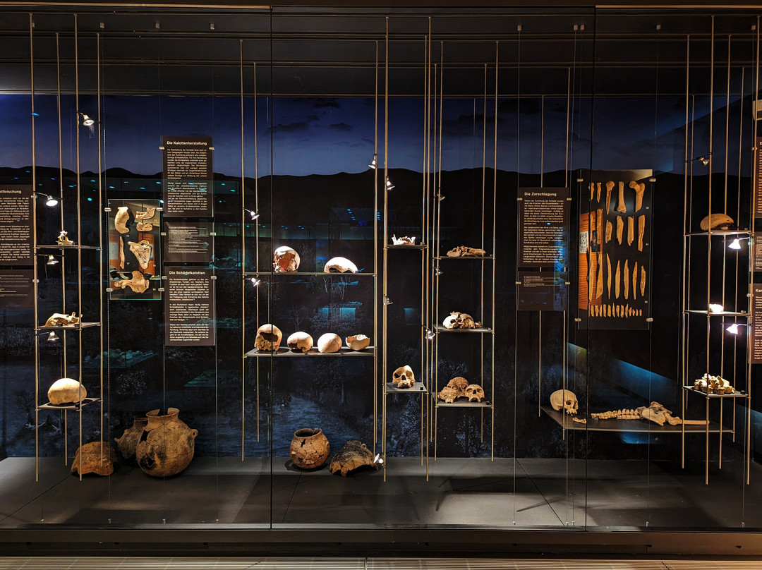 Museum Herxheim景点图片