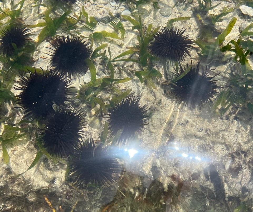 HillPark Tiwi & Amare Resort主图