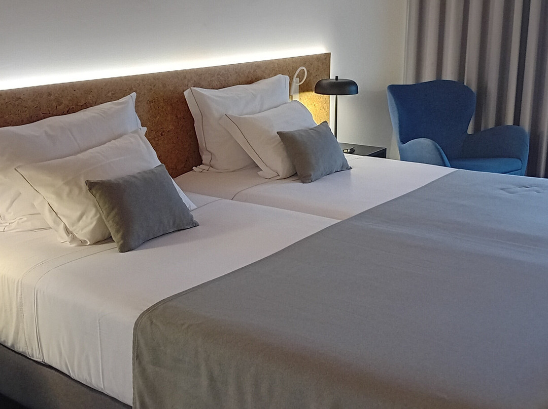 Canadiano Urban Nature Hotel主图