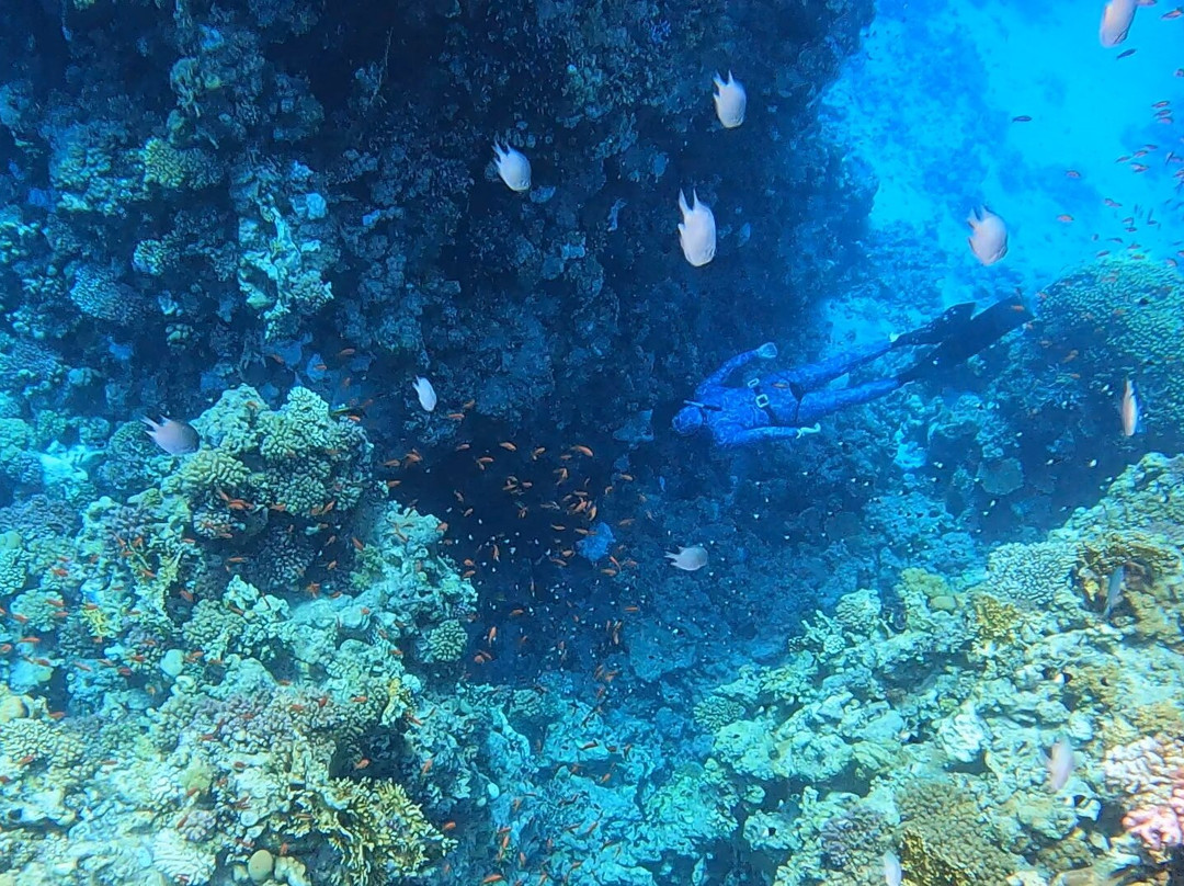 Apnea Center景点图片