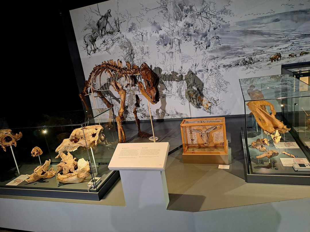 Espace Muséal d'Andenne景点图片