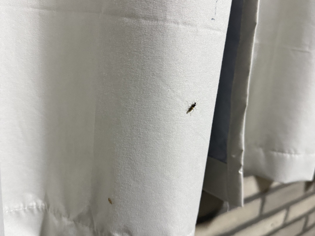 Pousada Recanto Das Árvores主图