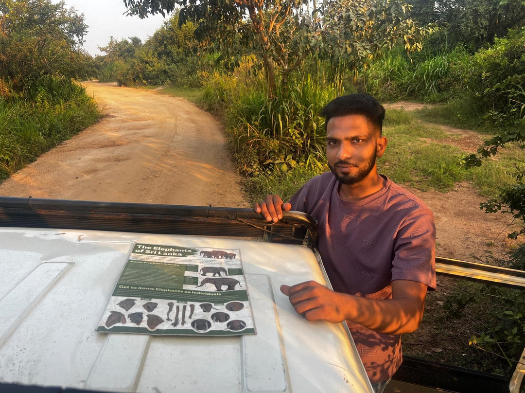 Minneriya Wild Jeep Safari-丹布拉必去景点