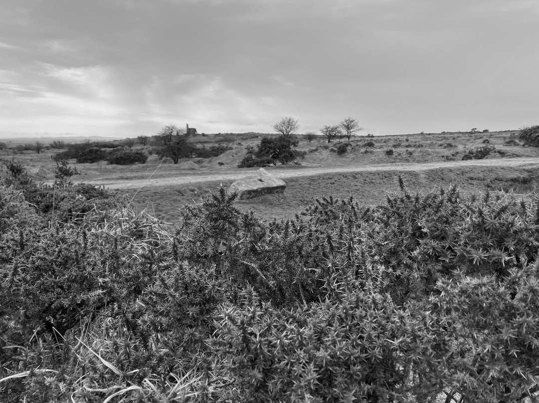 The Hurlers (3 stone circles)-利斯卡德必去景点