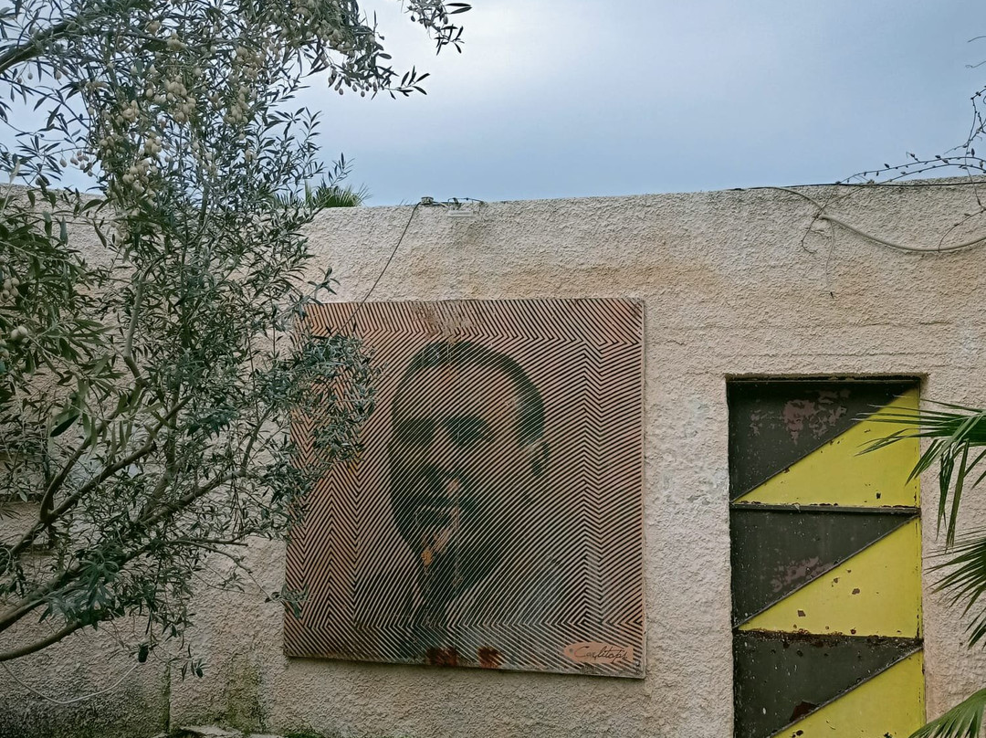 Agriturismo B&B Fiori d'Arancio主图