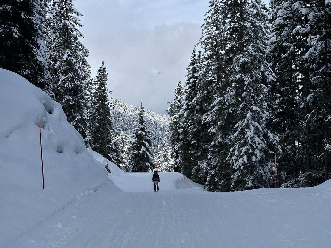 林德波尔河酒店主图
