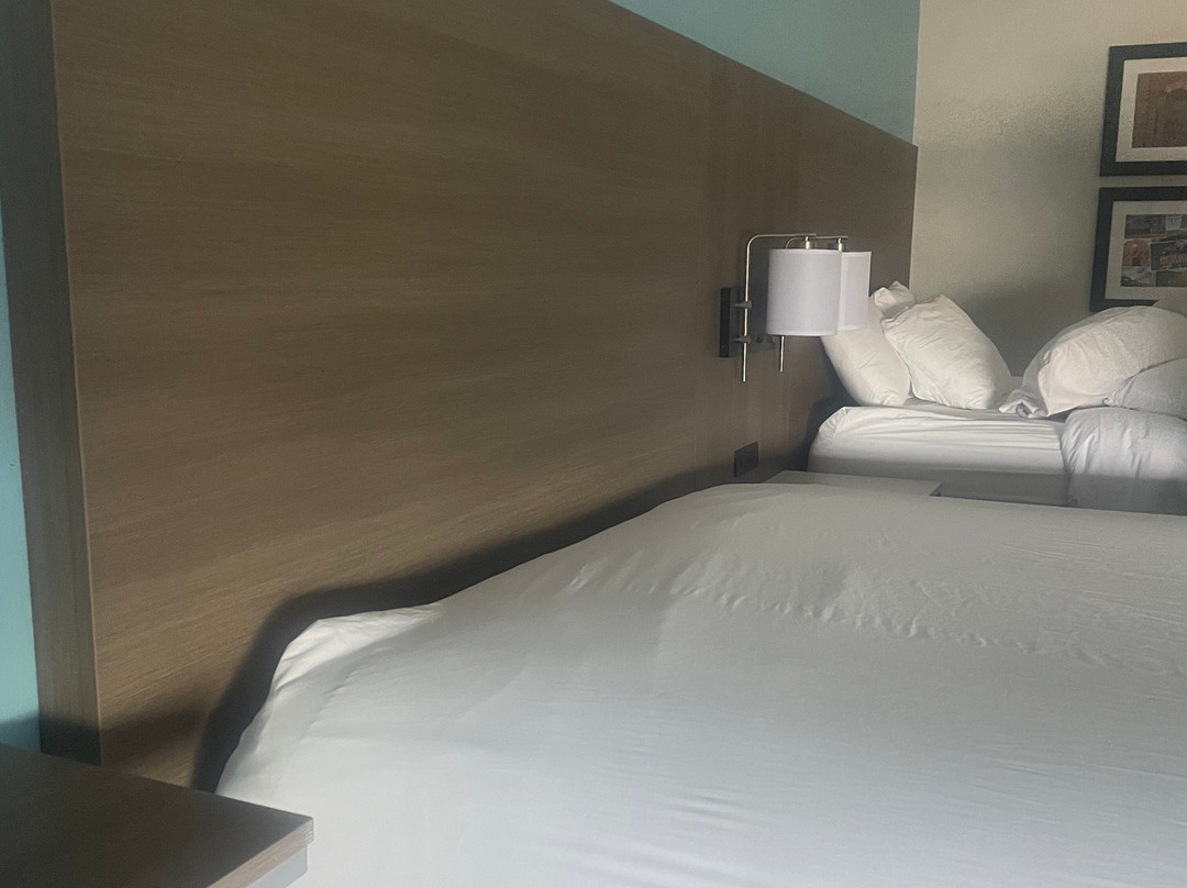 La Quinta Inn & Suites by Wyndham Hobbs主图