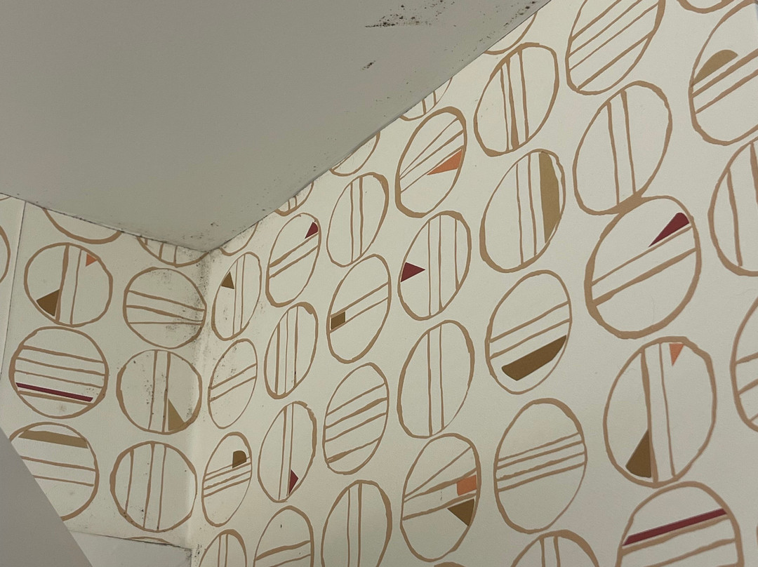 Comfort Suites Salem - Roanoke I-81主图