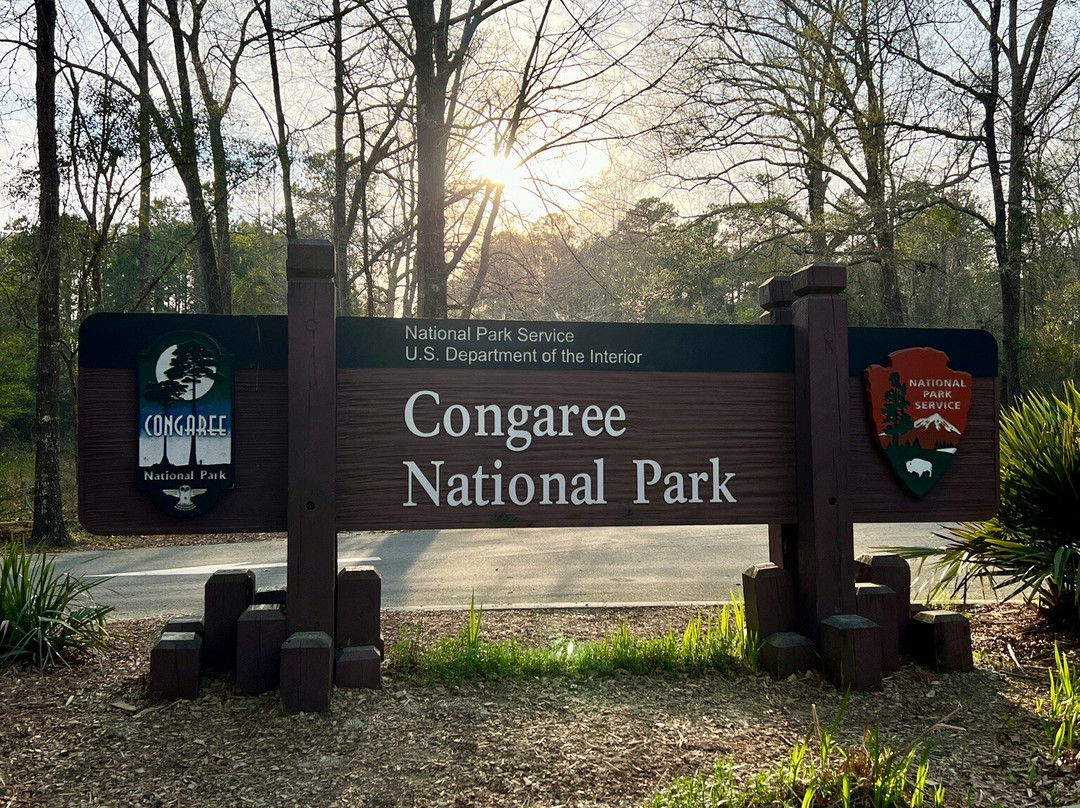 Congaree National Park景点图片