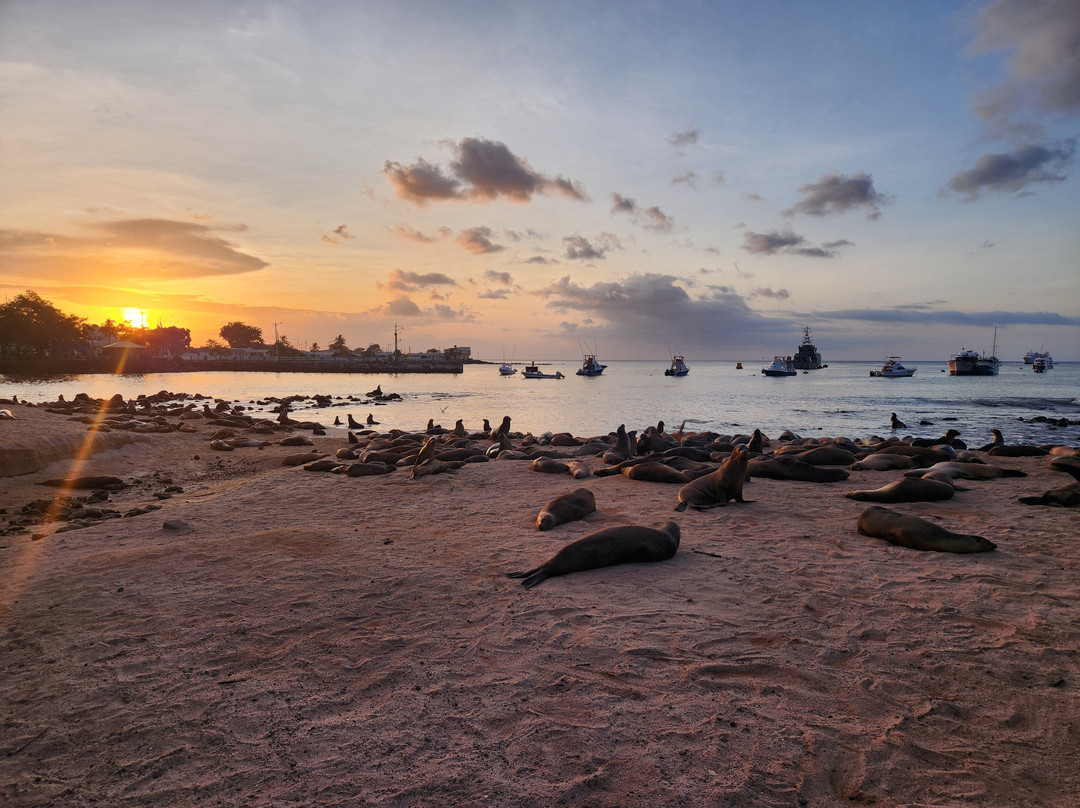 Kajol Lavan Travel, Galapagos Islands-Baltra必去景点