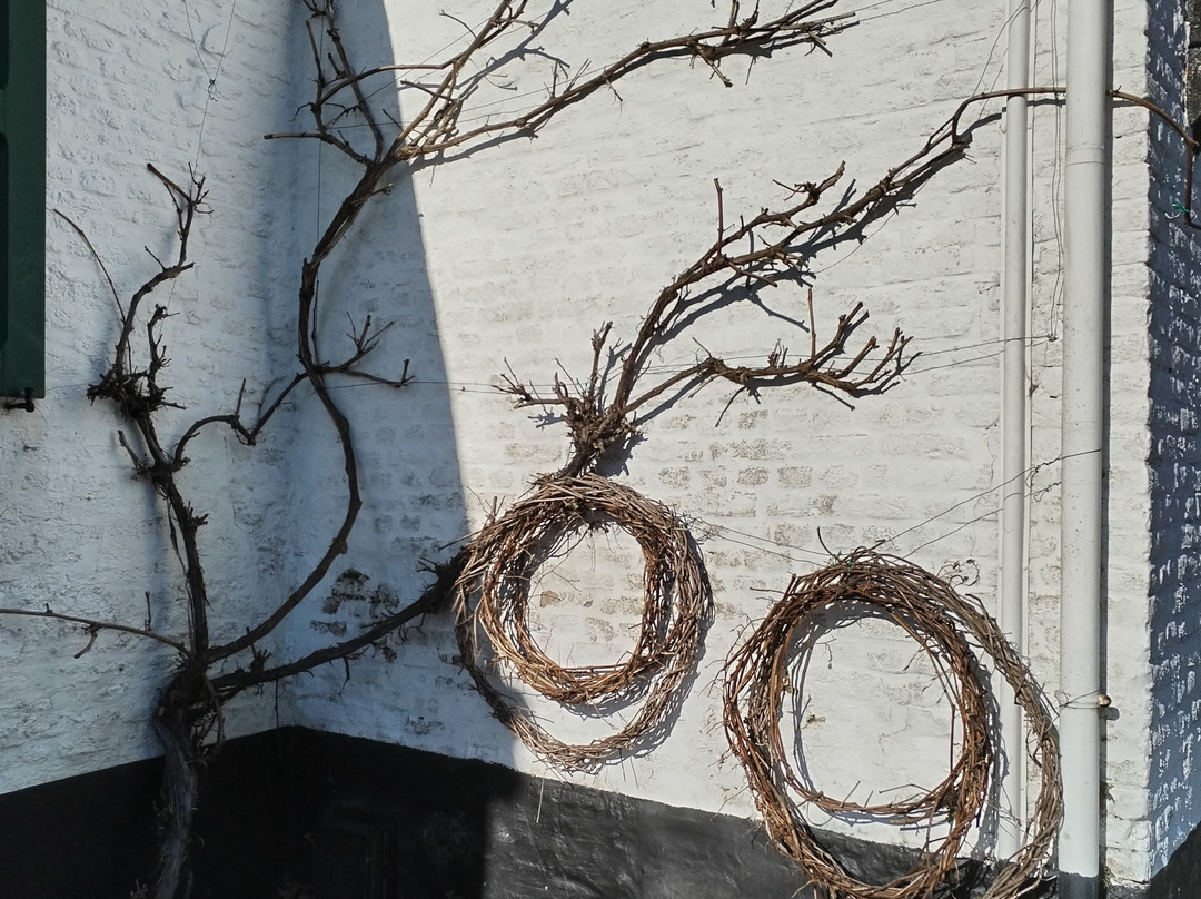 Turkeyenhof-布雷德内必去景点