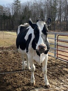 Harris Farm Sugarhouse-Dayton必去景点