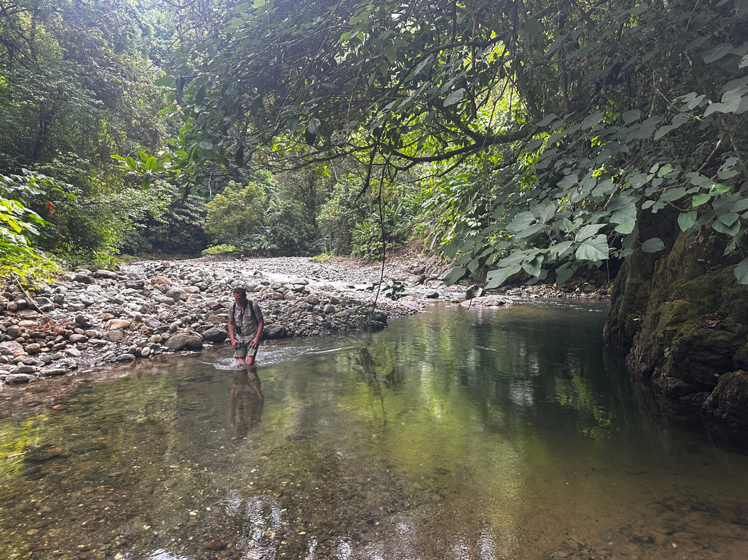 Osa Nature Tours景点图片