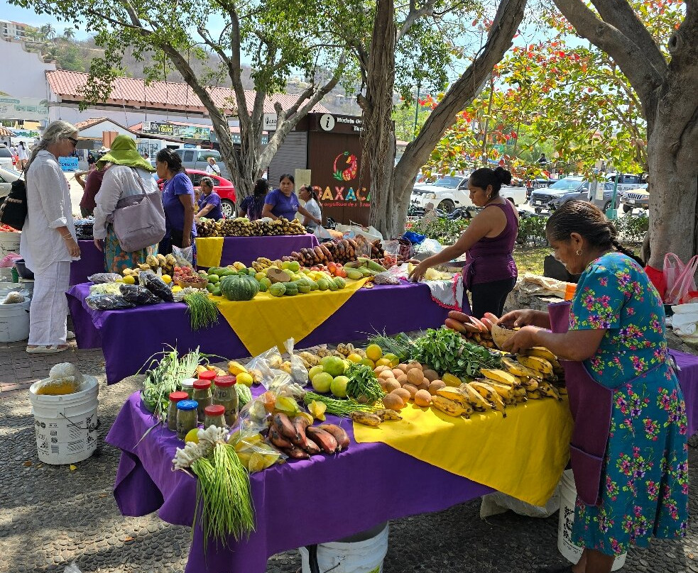 MOH - Organic Market Huatulco-Crucecita必去景点