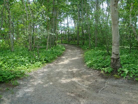 Auberge du Lièvre主图