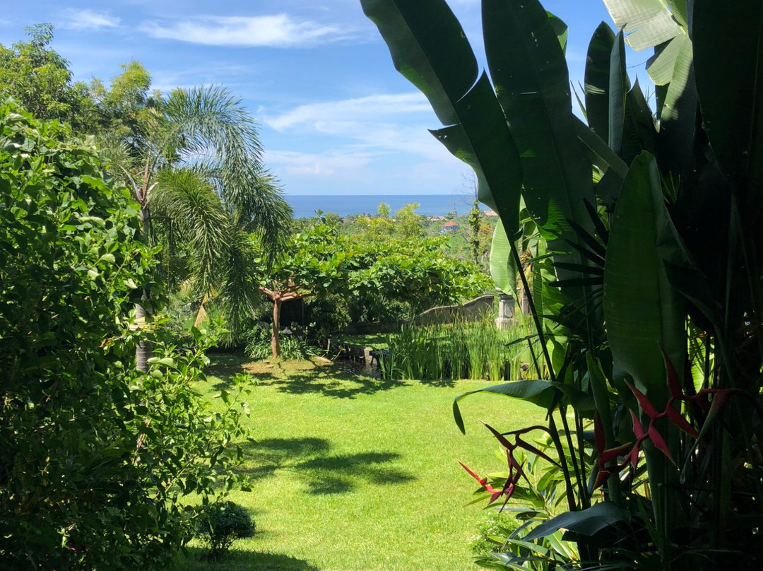 巴厘禅度假村主图