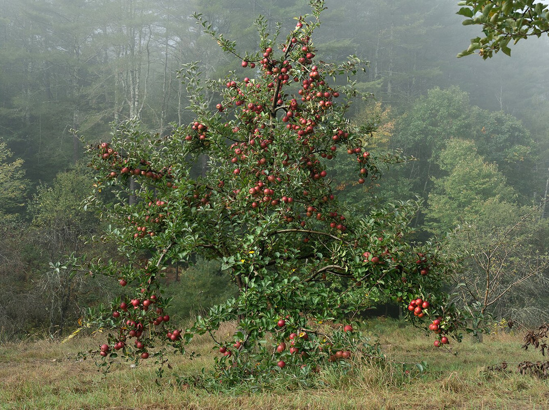 Hall Art Foundation-Reading必去景点