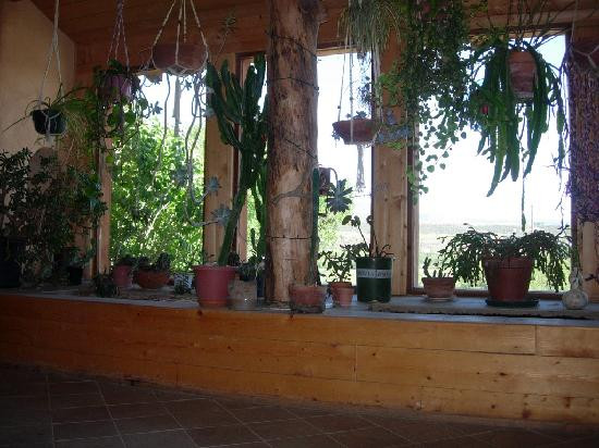 Suncatcher Inn主图