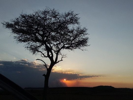 Aventura En Africa-纳罗克必去景点