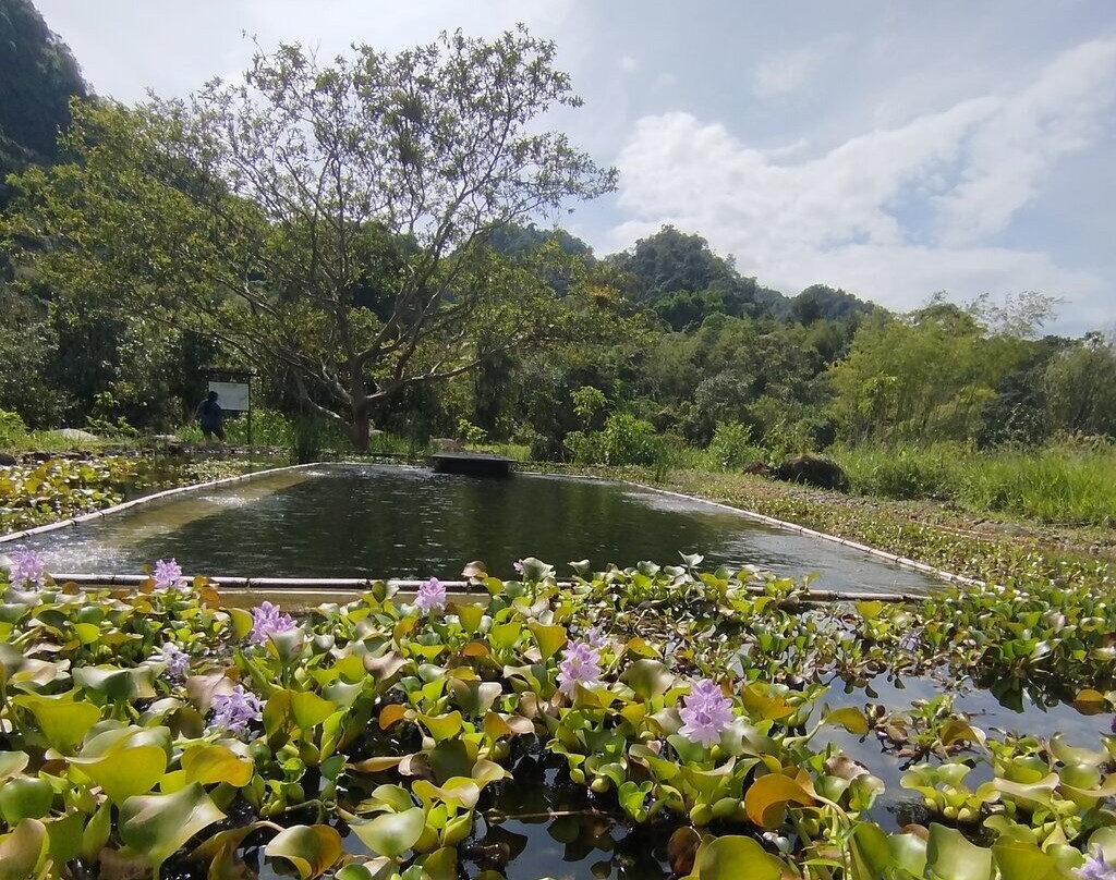 Sacha Urco Lodge y Bosque Protector主图