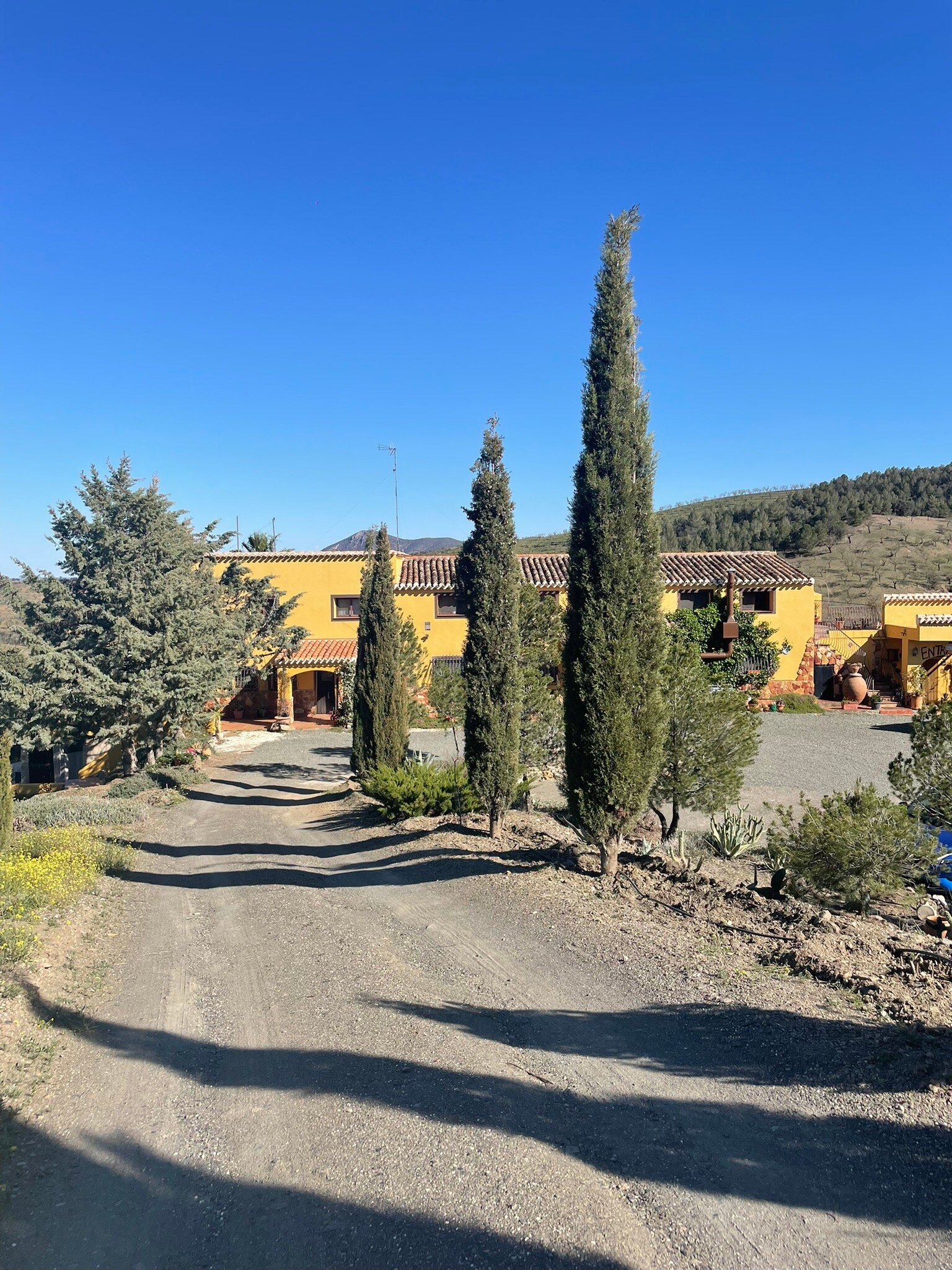 Casa Joya-官方