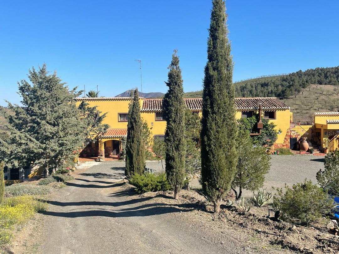 Casa Joya主图