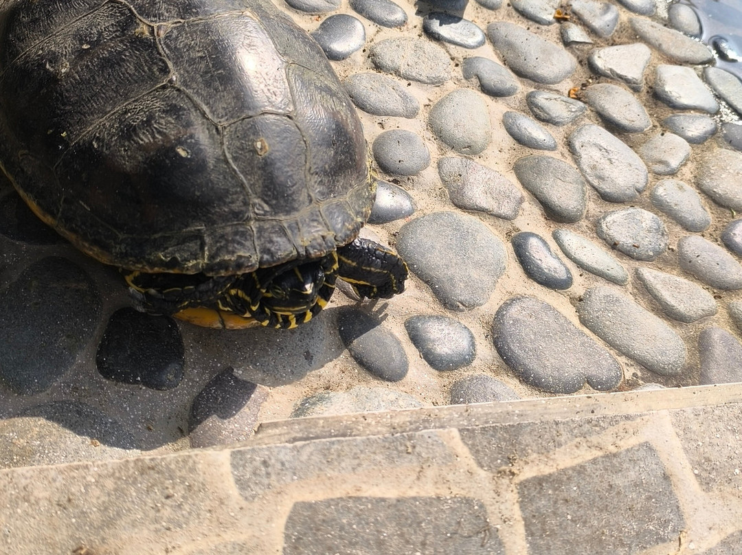 Mirador de Uchupampa主图