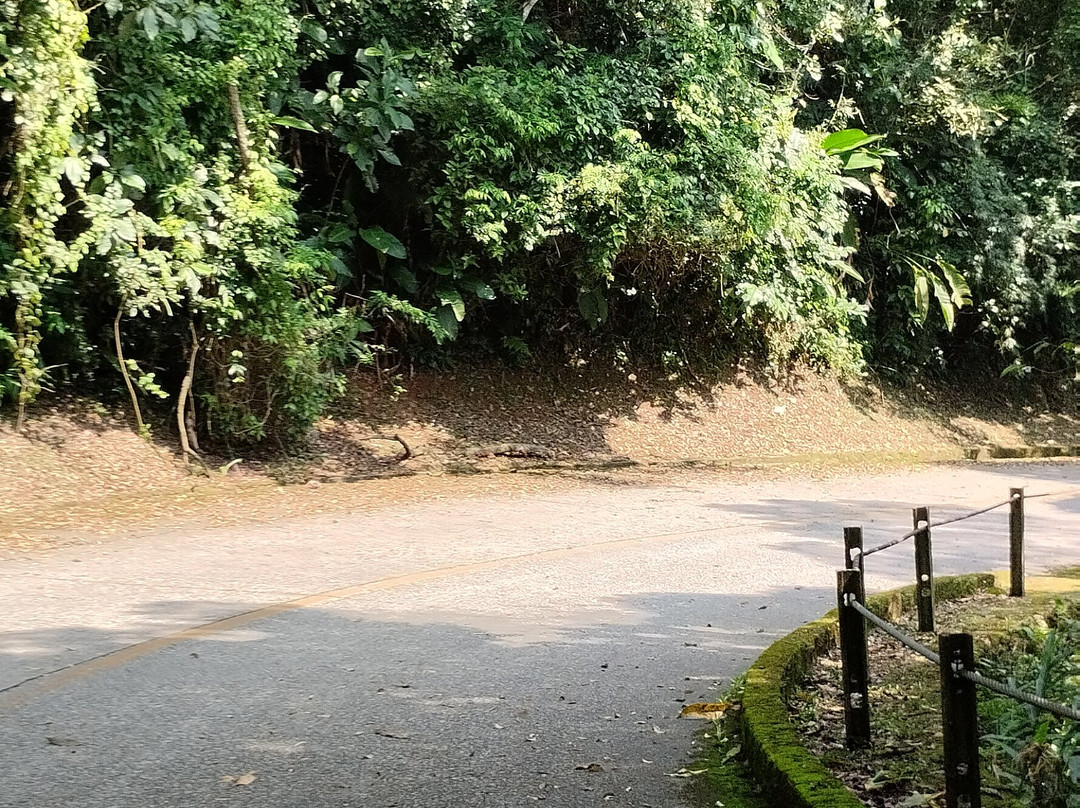 Parque Caminhos do Mar-圣贝尔纳多-杜坎普必去景点