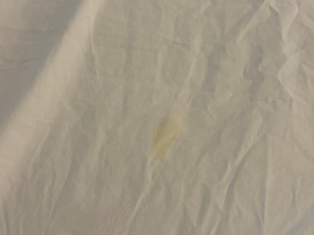 波士顿诺伍德/坎顿万怡酒店主图