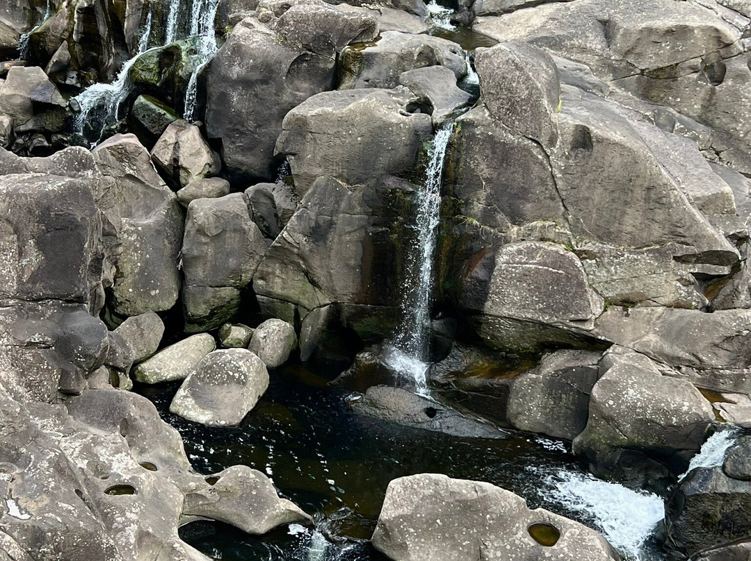 Zealandier Tours-陶兰加必去景点