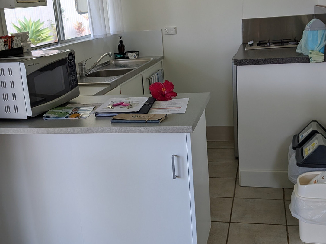 Hibiscus Regal主图