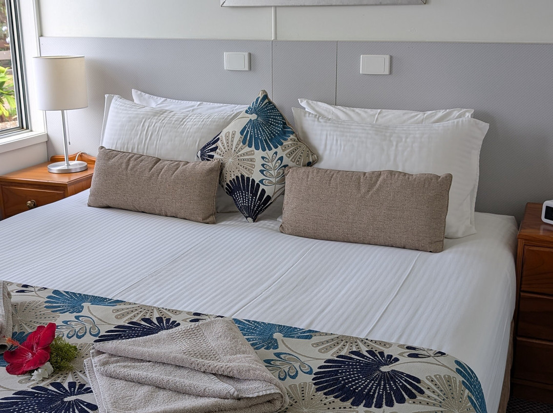 Hibiscus Regal主图