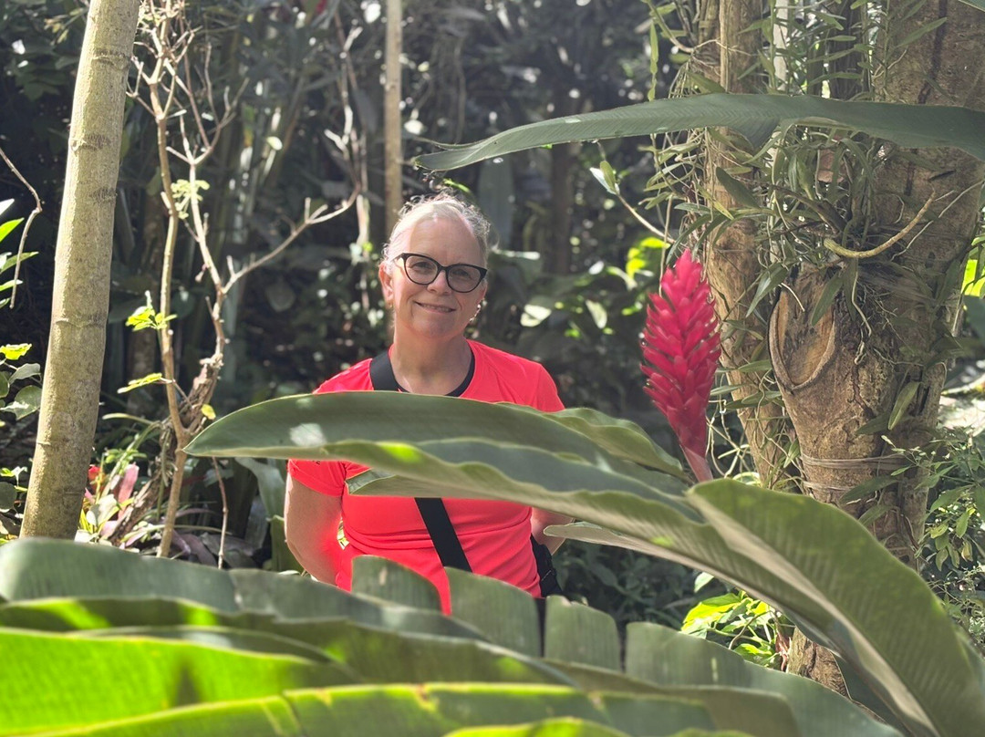 Phantasea Tropical Botanical Garden-圣 托马斯必去景点