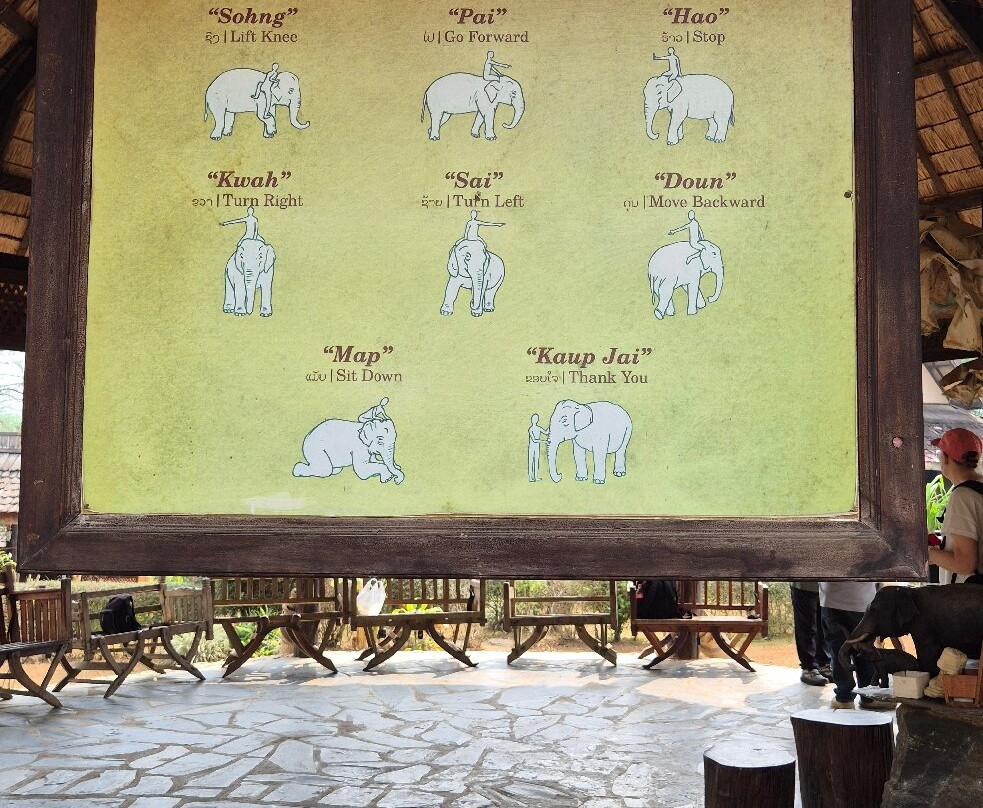 Elephant Village Sanctuary & Resort-琅勃拉邦必去景点