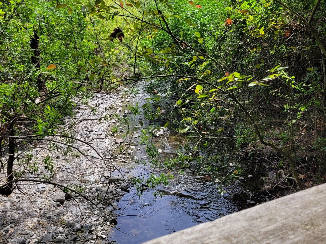 Petaluma Adobe State Historic Park-佩塔卢马必去景点