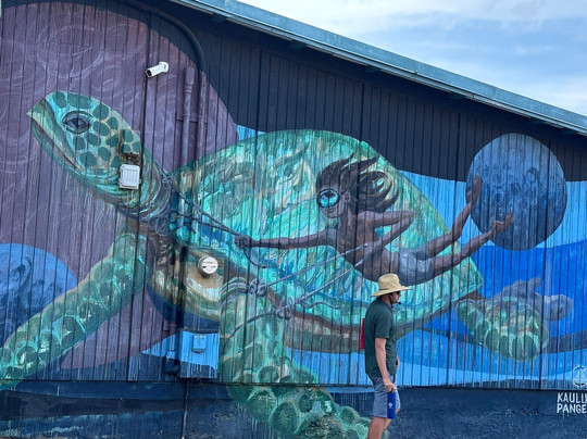 Maui Walking Tours-基黑必去景点