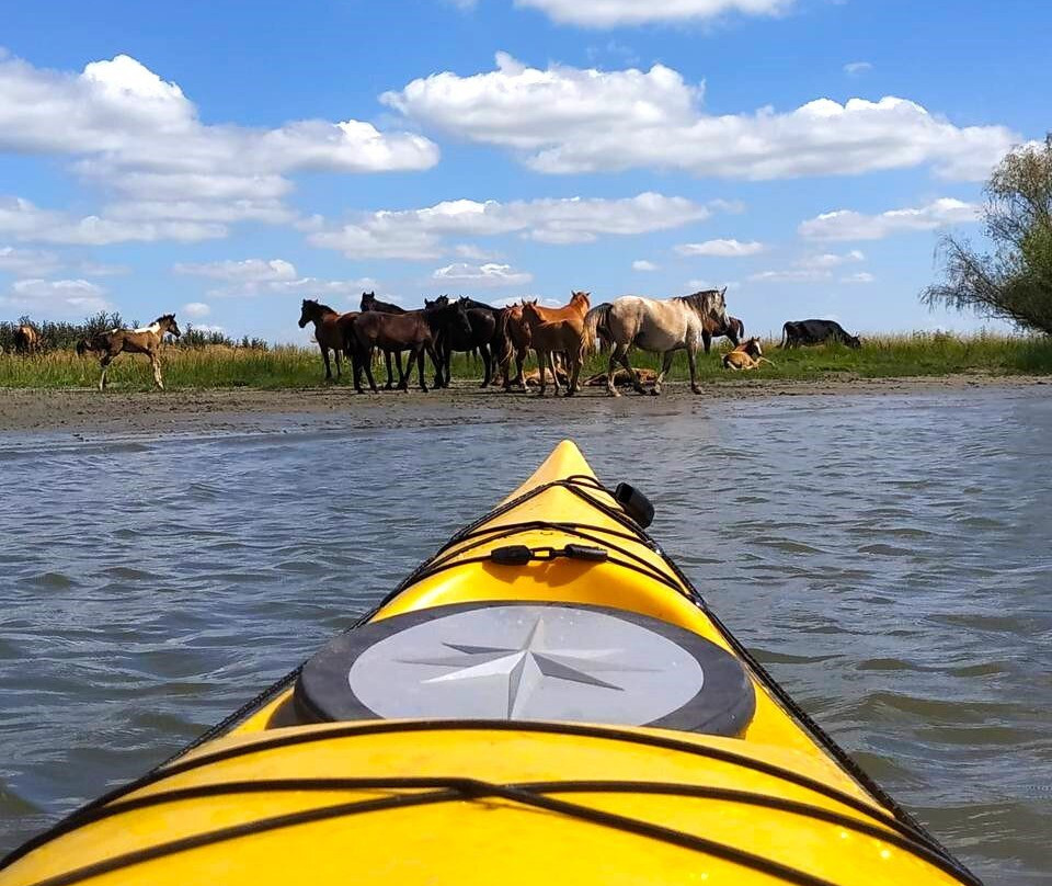 Lodochki-Azov必去景点