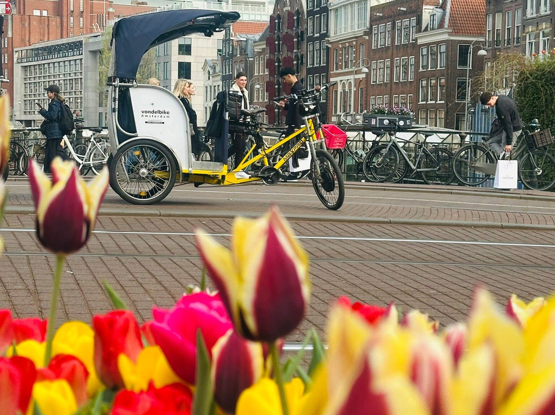 Vondelbike-阿姆斯特丹必去景点