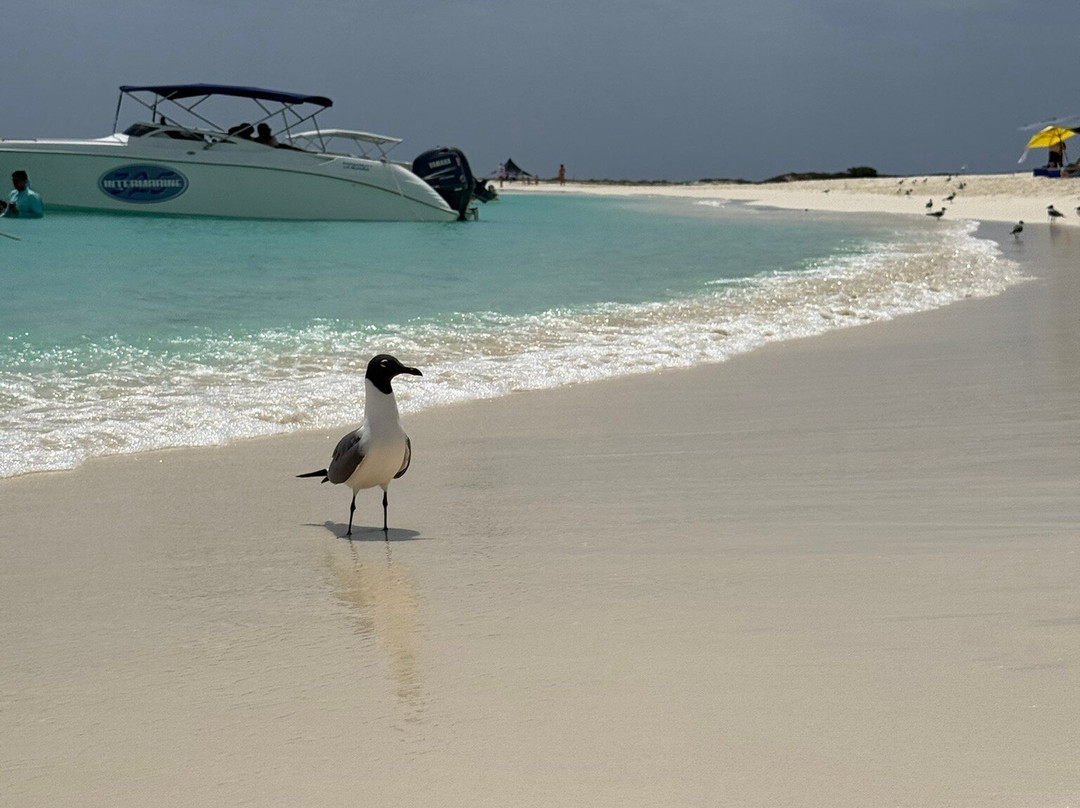 Posada Lagunita主图