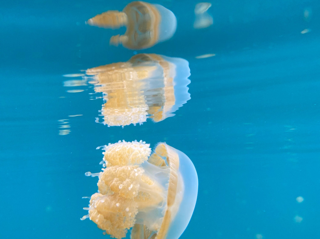 Millekul Adventures-索龙必去景点