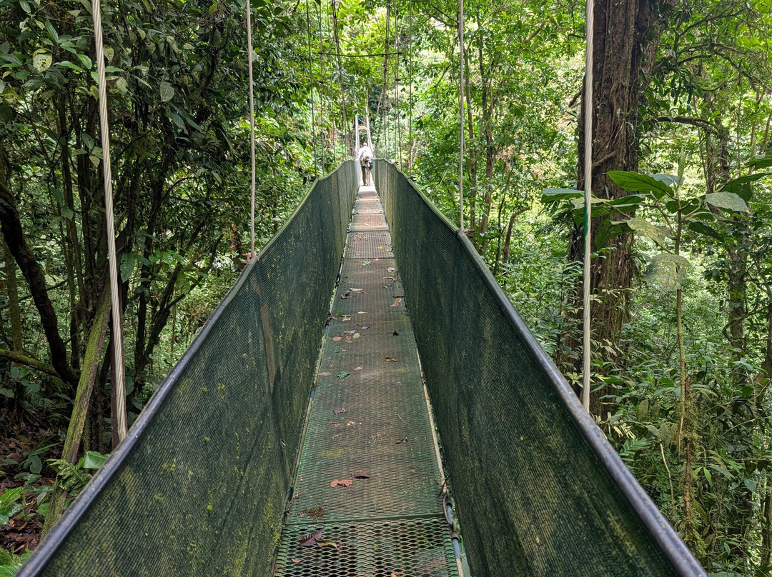 Heliconias Hanging Bridges Trails-Bijagua de Upala必去景点