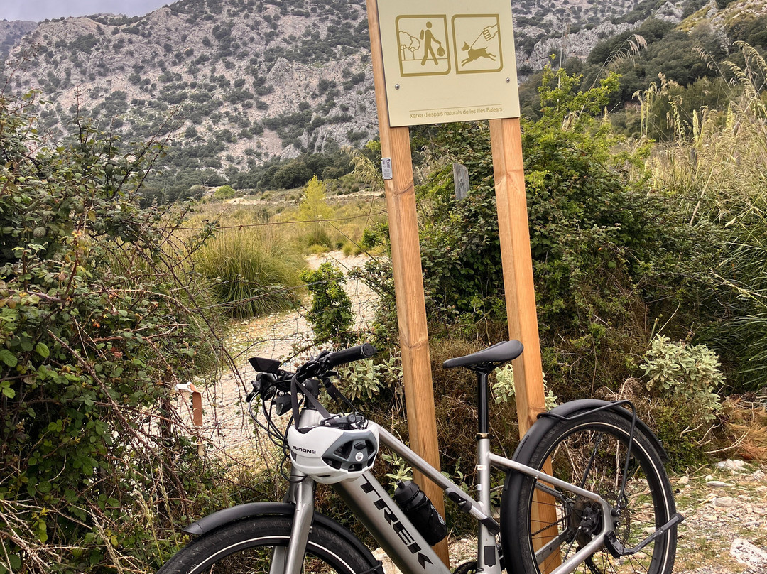 Tramuntana Tours-索列尔港必去景点