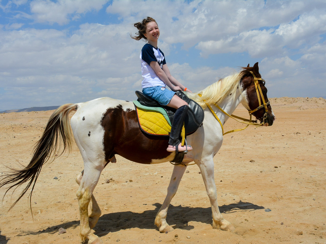 Horse Riding Hurghada-赫尔格达必去景点
