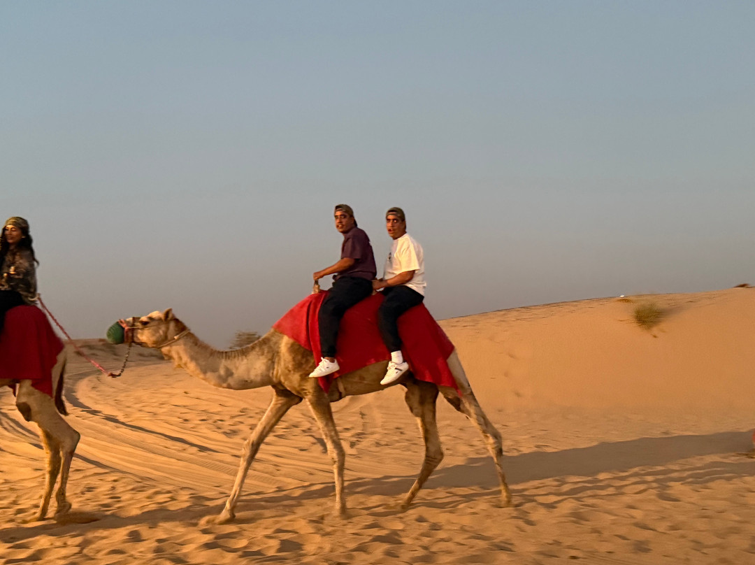 Airlane Travel & Tours-大湾必去景点