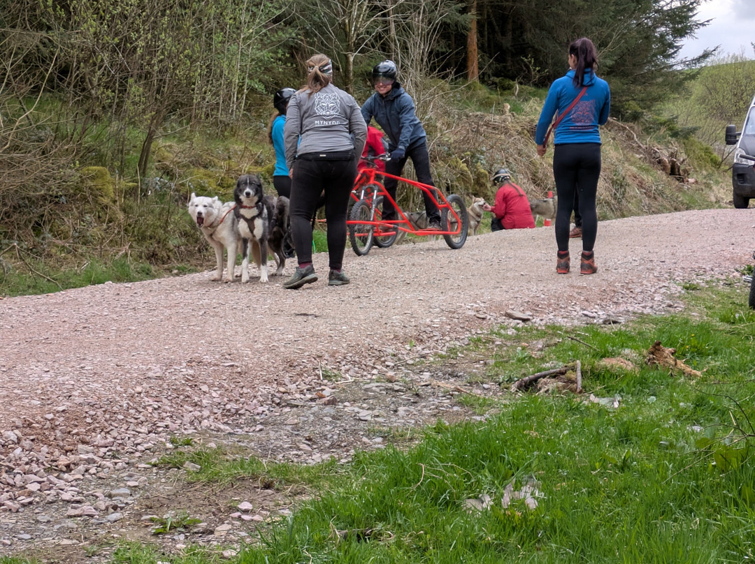 Mynydd Sleddog Adventures景点图片