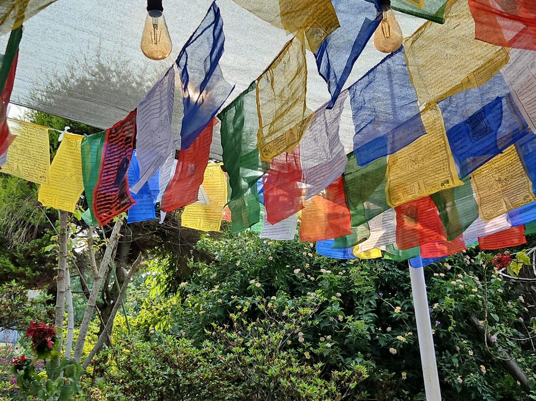 Sood's Himalayan Vista主图