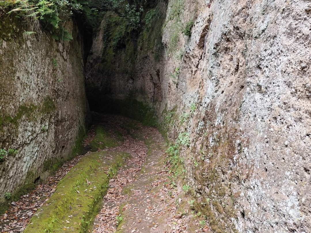 Vie Cave Etrusche-皮蒂利亚诺必去景点